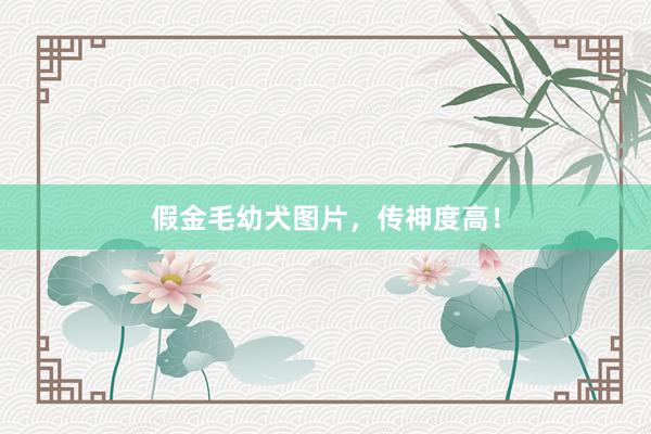假金毛幼犬图片，传神度高！