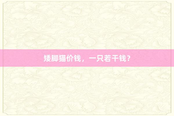矮脚猫价钱,一只若干钱?